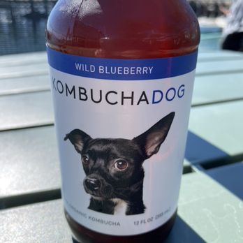 Tognazzini's Dockside Too - Wild Blueberry Kombuchadog - delicious! - Seafood Near Me - Morro Bay, California Tognazzini's Dockside Too - Wild Blueberry Kombuchadog - delicious! - Seafood Near Me - Morro Bay, California