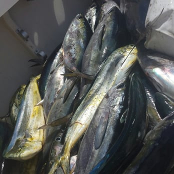 Guardian Charters - #bloodydecks - Fishing Near Me - San Diego, California