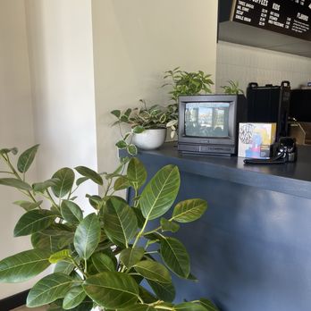 Elite Experience: Dreamwave Coffee - Yelp Events Near Me - Carlsbad, California