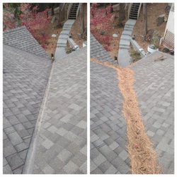 Bayman Services - Pine needles removed off of roof