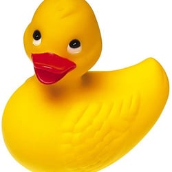 Grey Printing - We're just ducky!