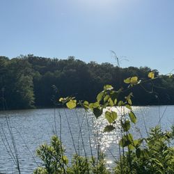 College Landing Park