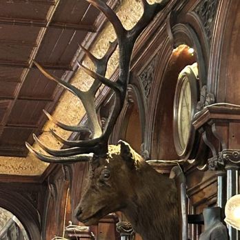 The Stag's Head - Inside - Irish Pub Near Me - Dublin, D The Stag's Head - Inside - Irish Pub Near Me - Dublin, D