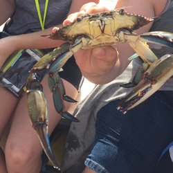 Fun Time Crabbing