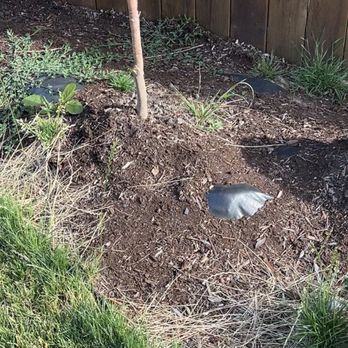Backyard Blitz - Landscaping Near Me - Longview, Washington Backyard Blitz - Landscaping Near Me - Longview, Washington
