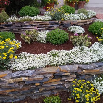 Galarza Landscaping - a flower bed in the front yard - Landscaping Near Me Galarza Landscaping - a flower bed in the front yard - Landscaping Near Me