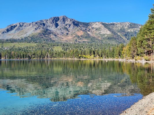 Fallen Leaf Campground by null
