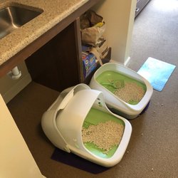 Brighton Gardens of Saddle River - Kitty litter