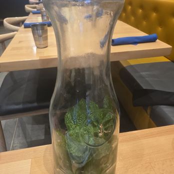 Seva Indian Cuisine - Mint water - Indian Near Me - Astoria, New York