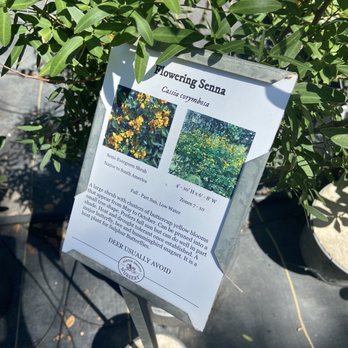 Barton Springs Nursery - Nurseries & Gardening Near Me - Austin, Texas