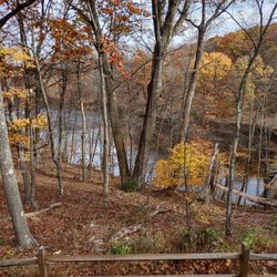 Schooley's Mountain Park Lodge - The view from the lodge deck.