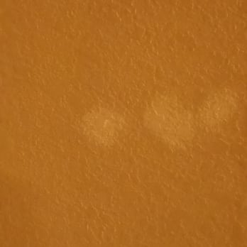 Timberlake Motel - Walls in dis.repair - Hotels Near Me - Lynchburg, Virginia