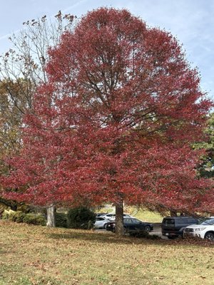 Sky Meadows State Park by null