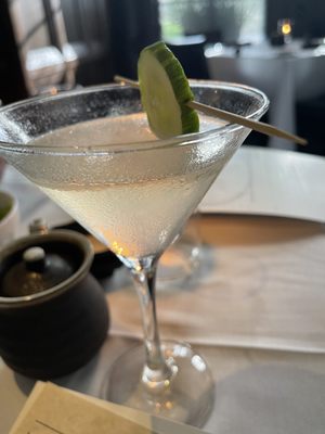 LoLa 41 Palm Beach by null