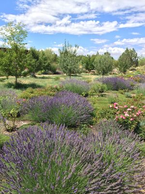Santa Fe Botanical Garden by null