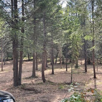 Leaverton Land Preservation - Parked out property - Tree Services Near Me