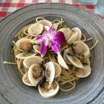 Osteria Cotto e Mangiato - Linguine Vongole - Italian Near Me - San Diego, California Osteria Cotto e Mangiato - Linguine Vongole - Italian Near Me - San Diego, California