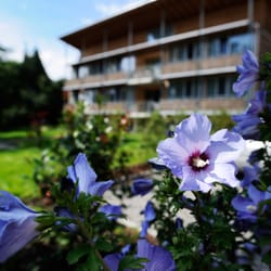 Hotel Seehörnle
