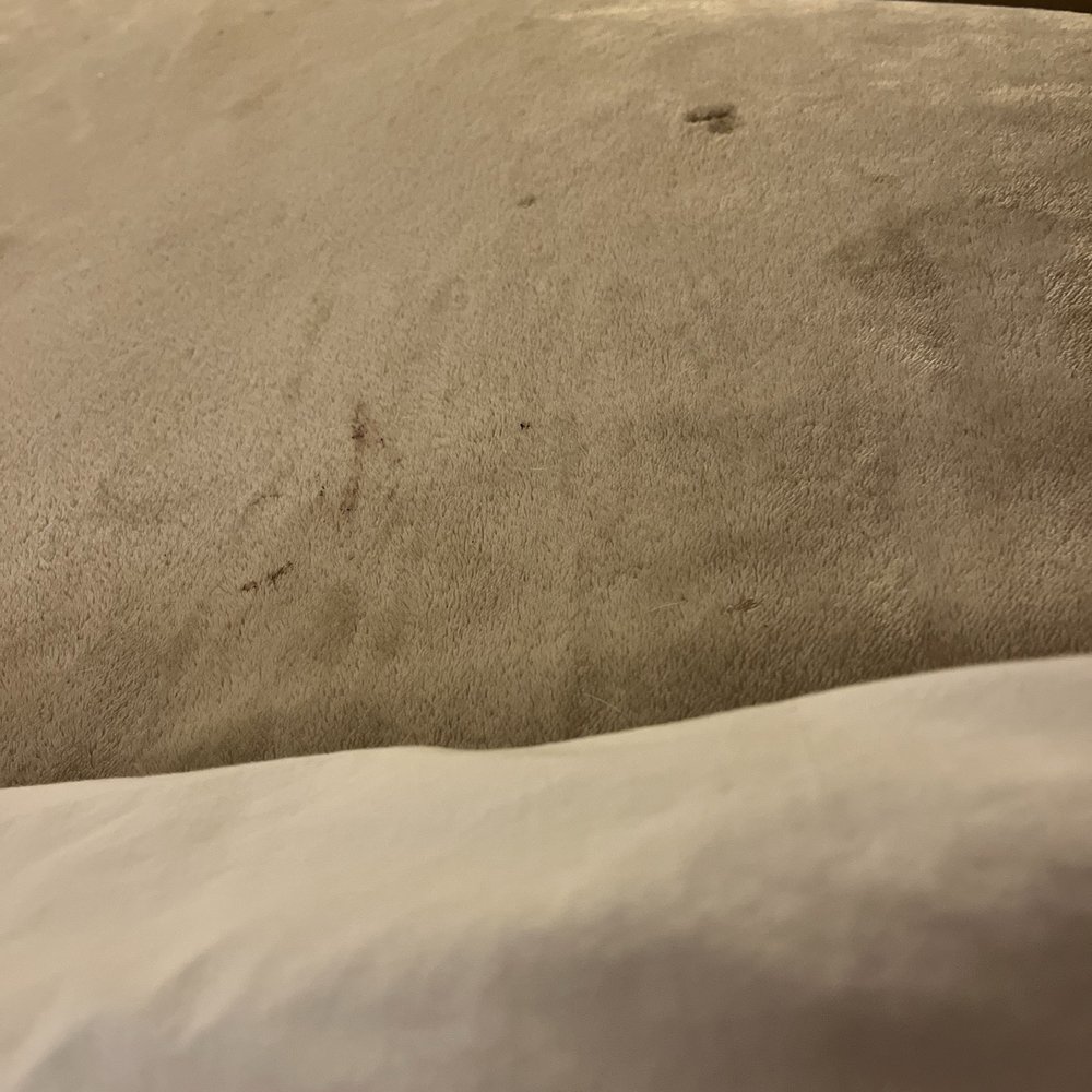 Bradley International Inn - Stains on bed - Hotels Near Me - Windsor Locks, Connecticut Bradley International Inn - Stains on bed - Hotels Near Me - Windsor Locks, Connecticut