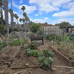 Liberty Farms