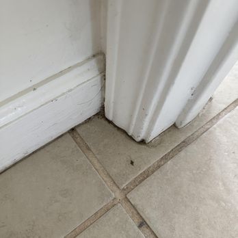 KleenPro - Home Cleaning Near Me - Honolulu, Hawaii