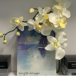 Cynthia Boggs Skin Care Salon
