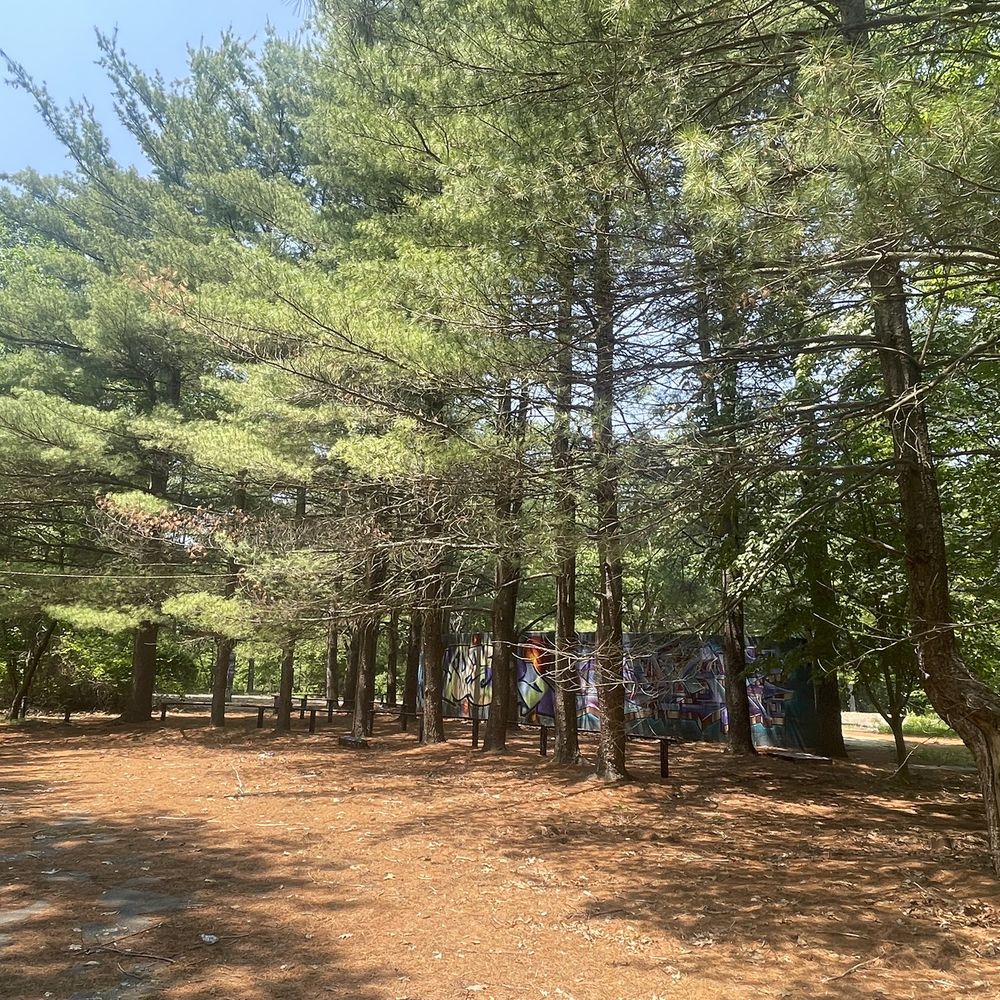 Stony Brook Reservation - Parks Near Me - Hyde Park, Massachusetts Stony Brook Reservation - Parks Near Me - Hyde Park, Massachusetts