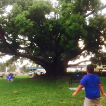 Mellow Mushroom Clearwater - Pizza Near Me - Clearwater, Florida