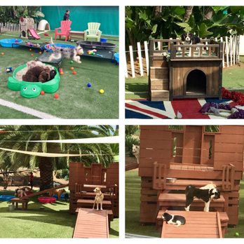 Woof Academy - Puppy Yard (top)/ Adult Acre Yard (bottom) Doggy Daycare. Sadie loves her castles! - Pet Training Near Me - Encinitas, California