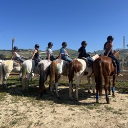 Pleasant Valley Horse Club - Western show at the Salinas posse grounds