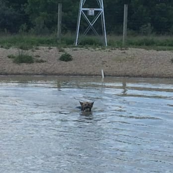 Walnut Woods Dog Park - Dog Parks Near Me - Groveport, Ohio Walnut Woods Dog Park - Dog Parks Near Me - Groveport, Ohio