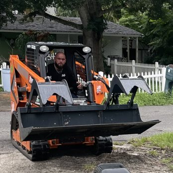 Blue Collar Broke Trees - Tree Services Near Me Blue Collar Broke Trees - Tree Services Near Me