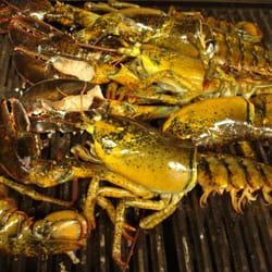 Renards Catering - Main Lobsters on the grill