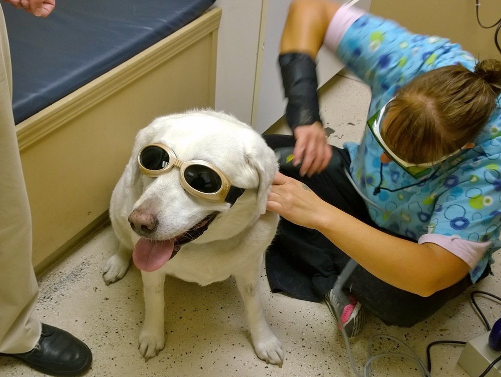 SUPERIOR VETERINARY CARE Updated September 2024 17 Photos & 10