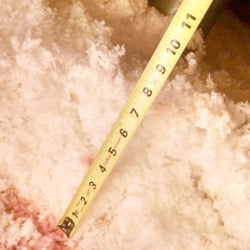 Mooney & Moses Insulation - Notice white over pink - ruler indicates 8-8.5" of actual blown in white insulation.