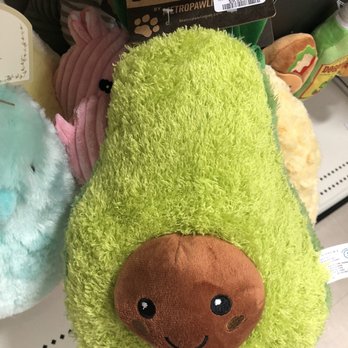 HomeSense - So cute!! It's an 1/2 Avocado - Home Decor Near Me - Delta, British Columbia HomeSense - So cute!! It's an 1/2 Avocado - Home Decor Near Me - Delta, British Columbia