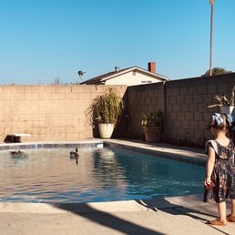 Even ducks enjoyed the pool Even ducks enjoyed the pool
