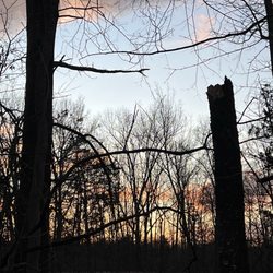 Pistol Creek Park