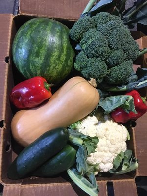 Full Circle Farm CSA by null
