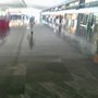 Photo of Terminal Central de Autobuses del Poniente