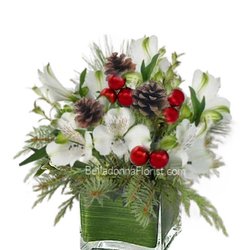 Belladonna Florist & Flower Delivery - Christmas evergreens and alstromeria