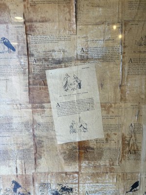 Odd Fox Coffee by null