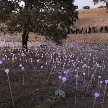 Sensorio - Pre-sunset - Art Galleries Near Me - Paso Robles, California