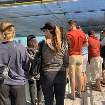 The Turtle Hospital - Can't see!!! - Veterinarians Near Me - Marathon, Florida The Turtle Hospital - Can't see!!! - Veterinarians Near Me - Marathon, Florida