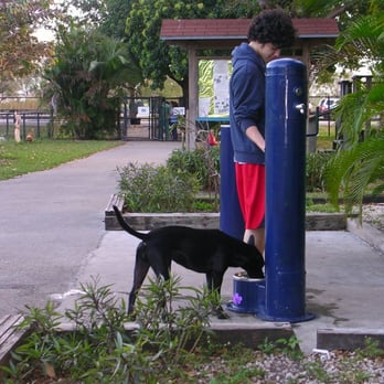 Amelia Earhart Park - Drinking fountain near entrance - Parks Near Me - Hialeah, Florida Amelia Earhart Park - Drinking fountain near entrance - Parks Near Me - Hialeah, Florida