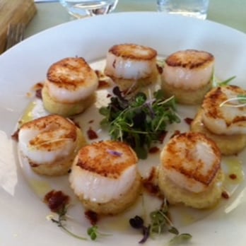 Ripples at Chowder Bay - Seafood Near Me - Mosman, NSW Ripples at Chowder Bay - Seafood Near Me - Mosman, NSW