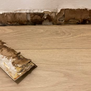 Coast at Lakeshore East - Dog urine saturated the drywall and seeped under the floating floor. Nothing is sealed - the baseboards don't touch the floor. - Apartments Near Me - Chicago, Illinois