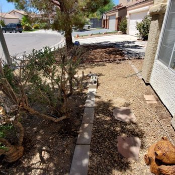 Jr's Lawn Maintenance - Shrubs after - Landscaping Near Me - Henderson, Nevada