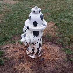Sawyer Dog Park - Pee much?