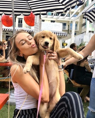 The Wharf Fort Lauderdale by null